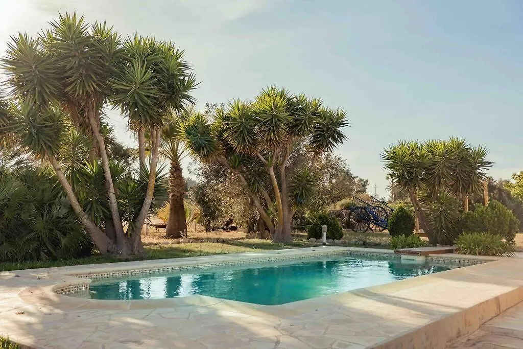 Charming Ibiza Villa サン・リョレンツ・デ・バラフィア スペイン