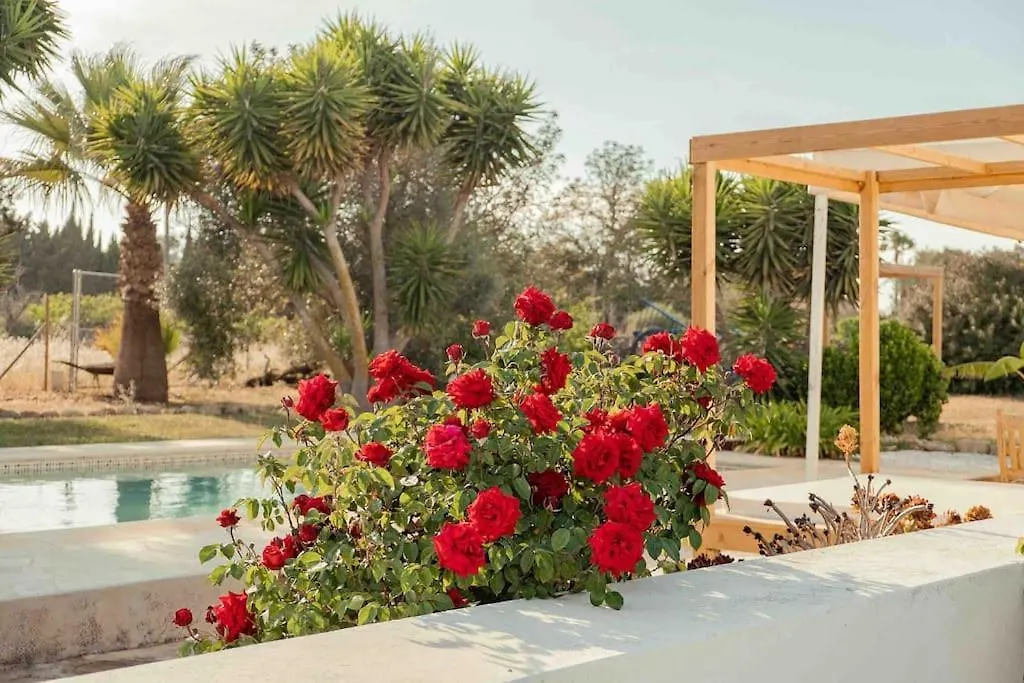 Charming Ibiza Villa サン・リョレンツ・デ・バラフィア 0*,  スペイン