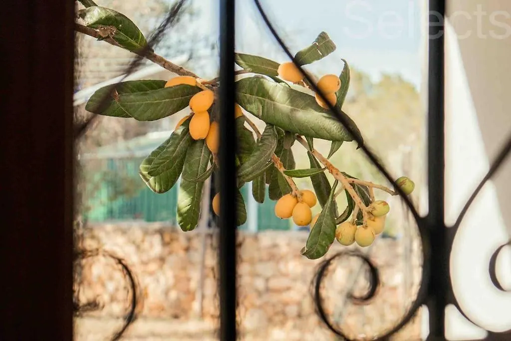 Charming Ibiza Villa contacts